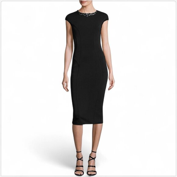 Ted Baker Dresses & Skirts - Ted Baker London Dardee Black Embellished Jewel Neck Bodycon Midi Dress 3 / M